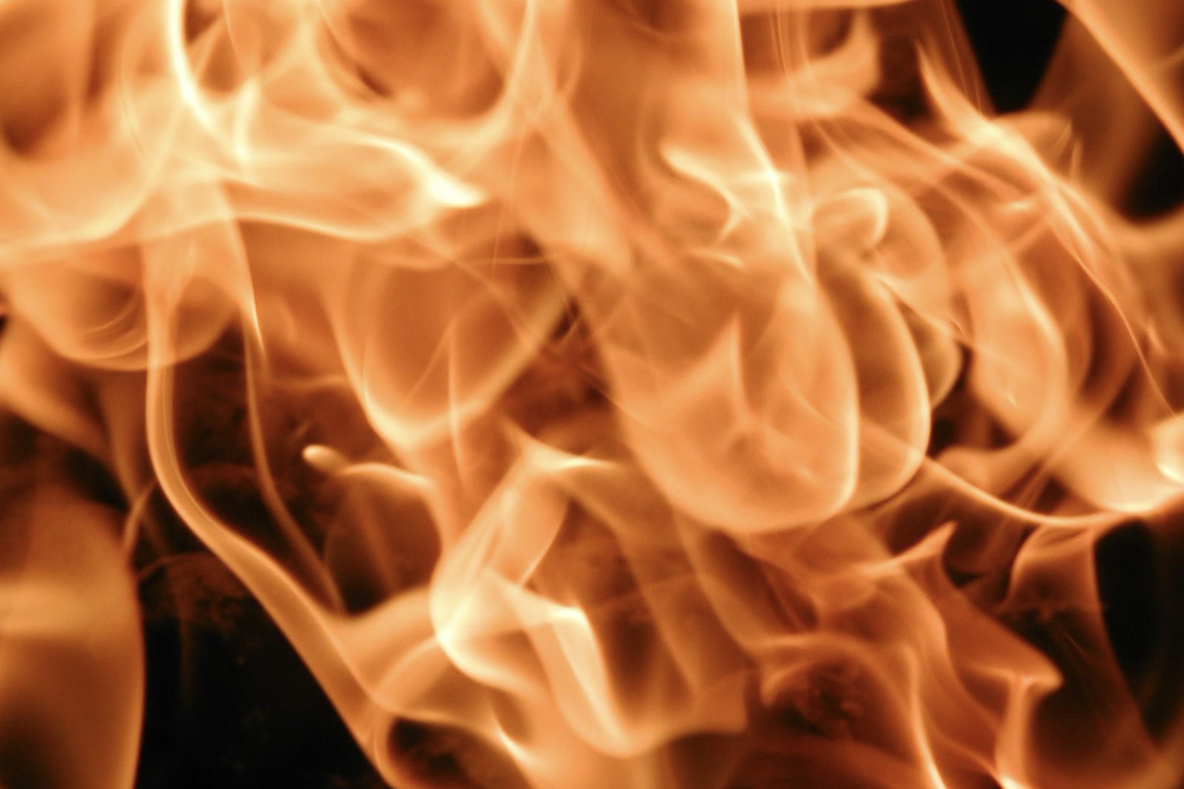 Close-up of warm amber flames
